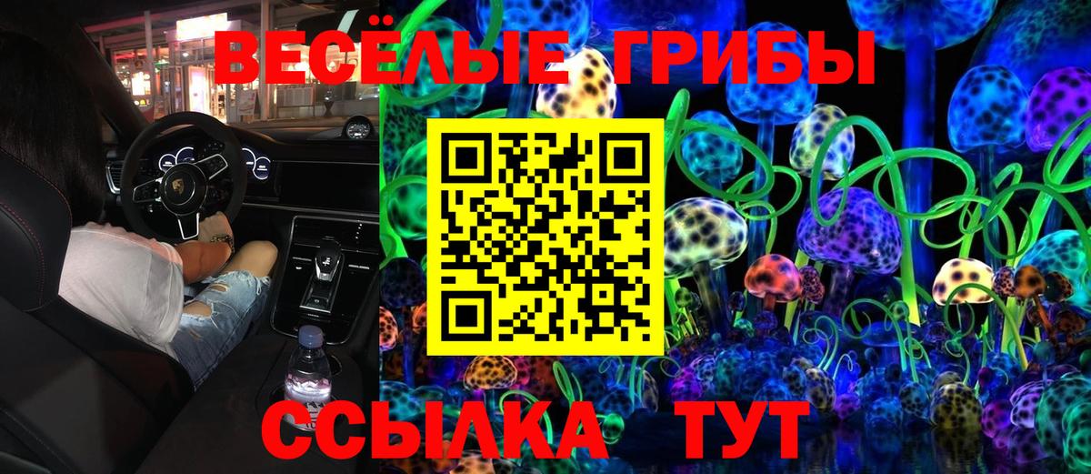 Псилоцибиновые грибы Cubensis Магадан