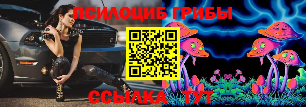 Магадан  закладки  Вход с VPN  Галлюциногенные грибы GOLDEN TEACHER  Галлюциногенные грибы прущие грибы 